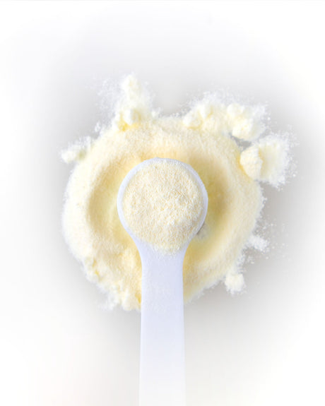 Kollagen (Kollagenpeptide)